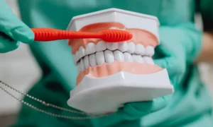 Protect Your Smile By Preventing Gum Disease